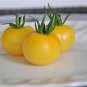 Wapsipinicon Peach Heirloom Tomato Bonsai 200 Seeds