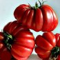 Rare Zapotec Ruffled Bright Red Tomato 200 Seeds