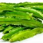 Winged Bean Perennial Rare Pea Bonsai 8 Seeds