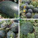 Dark Gray Skin Red Watermelon F1 40 Seeds