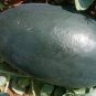 Dark Gray Skin Red Watermelon F1 40 Seeds