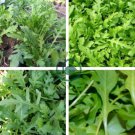 Arugula Plant Vegetable 240 Seeds