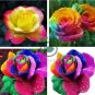 Rsychic Rose 100 Seeds