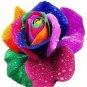 Rsychic Rose 100 Seeds