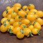 Rare Yellow 'Banana' Long Tomato Organic 240 Seeds