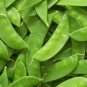 Green Soy Beans Cowpeas Vegetable 50 Seeds