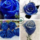 Natural Fragrant Sparkling Golden Blue Rose 1000 Seeds