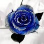 Natural Fragrant Sparkling Golden Blue Rose 1000 Seeds