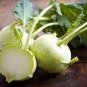 Tianjin Green Kohlrabi Orange Turnip cabbage 1000 Seeds