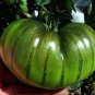 Rare Heirloom Arbuznyi Big Green Tomato with Dark Green Line Organic 200 Seeds