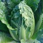 Chinese Cabbage Vegetable 100 Seeds