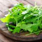 Eruca Salad Rocket Arugula Organic Vegetable 240 Seeds