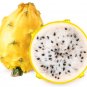 Dragon Fruit Pitaya Red (White, Yellow) Organic 200 Seeds