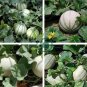 Small Heirloom True French Charentais Gourmet Melon Cucumis Melo 40 Seeds