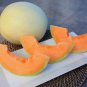 Sweet Melon Red Inside Orange Skin Super Sweet Fruit 500 Seeds