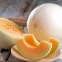 Sweet Melon Red Inside Orange Skin Super Sweet Fruit 500 Seeds