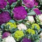 Mix Four Varieties Cauliflower 600 Seeds