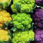 Mix Four Varieties Cauliflower 600 Seeds