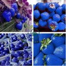 Organic Blue Strawberry Antioxidant 1000 Seeds