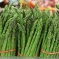Organic Green Asparagus Vegetables 40 Seeds