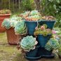 Pcs Beauty Mixed Mini Lithops Bonsai Plants  200 Seeds