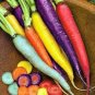 Rare Heirloom Daucus Carota Mixed Carrot Organic Vegetables 200 Seeds
