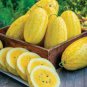 Yellow Skin Red Watermelon 100 Seeds