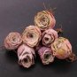 G.aurea El Hierro 20 seeds