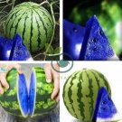New Variety Plant Blue Watermelon Seeds Vegetable 20 Seeds
