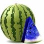 New Variety Plant Blue Watermelon Seeds Vegetable 20 Seeds