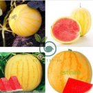 Heirloom 'Huang Pi Qiu' Yellow Skin Red Seedless Watermelon 10 Seeds