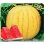 Heirloom 'Huang Pi Qiu' Yellow Skin Red Seedless Watermelon 10 Seeds