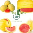 Heirloom 'Huang Pi Qiu' Yellow Skin Red Seedless Watermelon 100 Seeds