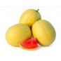 Heirloom 'Huang Pi Qiu' Yellow Skin Red Seedless Watermelon 100 Seeds