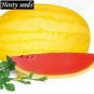 Heirloom 'Huang Pi Qiu' Yellow Skin Red Seedless Watermelon 100 Seeds
