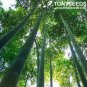 Huge Phyllostachys Pubescens Moso Bamboo 400 Seeds