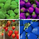 Mixed 9 Types of Rare Delicious Strawberry 200 Seeds