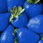 Mixed 9 Types of Rare Delicious Strawberry 200 Seeds