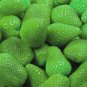 Mixed 9 Types of Rare Delicious Strawberry 200 Seeds