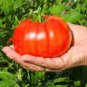 Super Rare Red Giant Competition Tomato 200 Seeds
