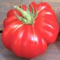 Super Rare Red Giant Competition Tomato 200 Seeds