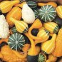 Ornamental Gourds 'Small Mixed' Lagenaria Siceraria 20 Seeds