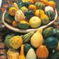 Ornamental Gourds 'Small Mixed' Lagenaria Siceraria 20 Seeds