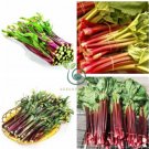 Organic Red Chinese Kale Vegetable  80 Seeds