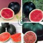 Big Super Black Skin Yellow Oval Sweet Organic Watermelon 160 Seeds
