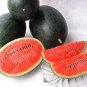 Big Super Black Skin Yellow Oval Sweet Organic Watermelon 160 Seeds