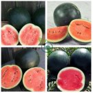 Super Black Skin Red Seedless Watermelon Organic   80 Seeds