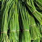Chinese Green Leek Vegetables 100 Seeds