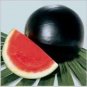 Hybrid Black Skin Oval Shape Watermelon 20 Seeds