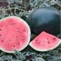 Hybrid Black Skin Oval Shape Watermelon 20 Seeds